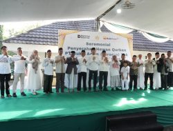 Tebar Kebahagiaan Idul Adha, PTBA Salurkan 300 Hewan Kurban di Berbagai Wilayah Operasional