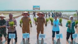 Bupati Ogan Ilir Ikuti Gerakan Tanam Nasional untuk Antisipasi Dampak El Nino