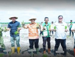 Pemkab Ogan Ilir Perkuat Ketahanan Pangan Melalui Tanam Padi Serentak 2026 di Lokasi Cetak Sawah