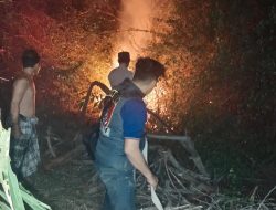 Cegah Api Meluas ke Permukiman, Damkar Muba Padamkan Karhutla di Petaling