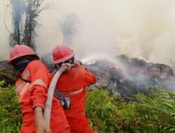 MUI: Presiden Perlu Perhatian Lebih Besar Lagi Terhadap Bencana Karhutla